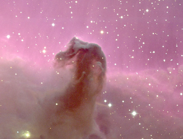 horsehead_noao.jpg